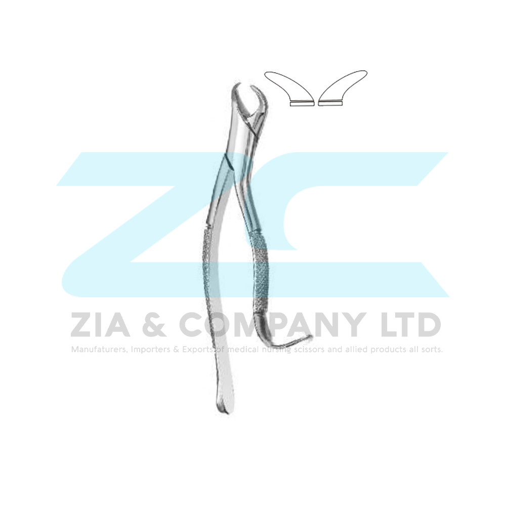 American Pattern Tooth Extracting Forceps