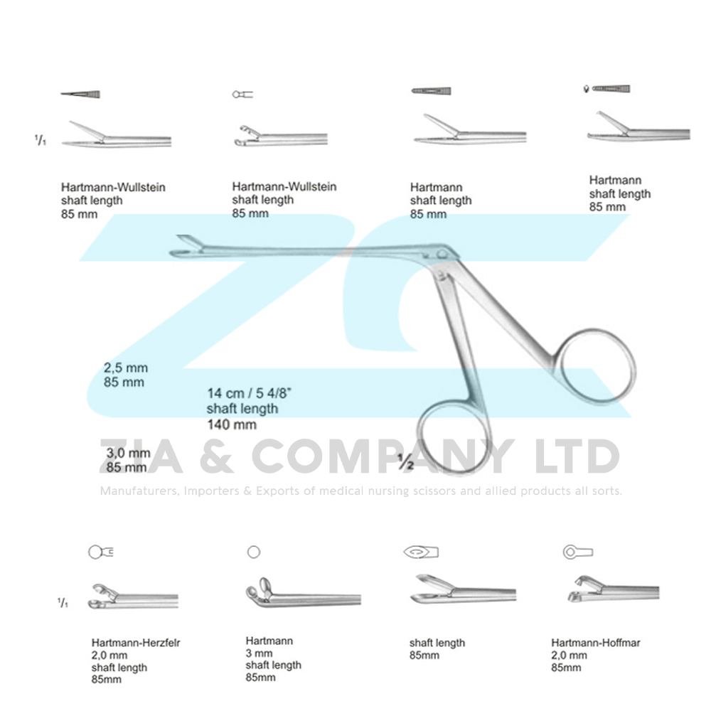 Biopsy Forceps