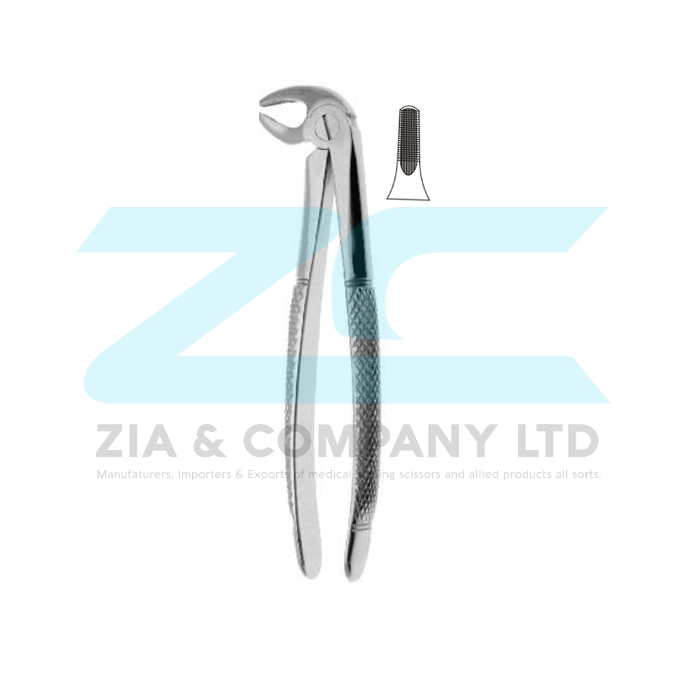 English Pattern Tooth Extracting Forceps