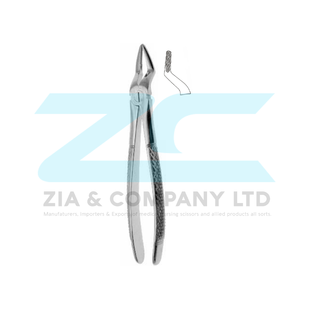 English Pattern Tooth Extracting Forceps