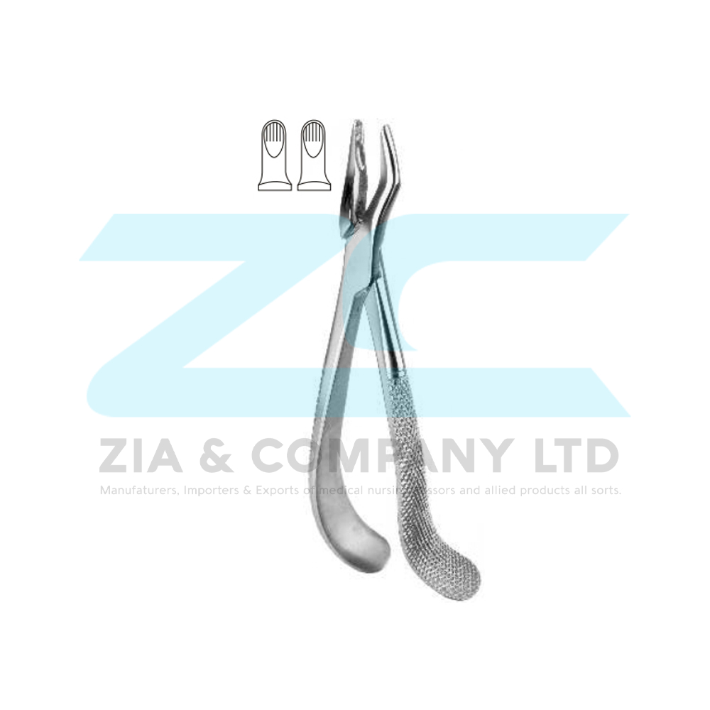 English Pattern Tooth Extracting Forceps