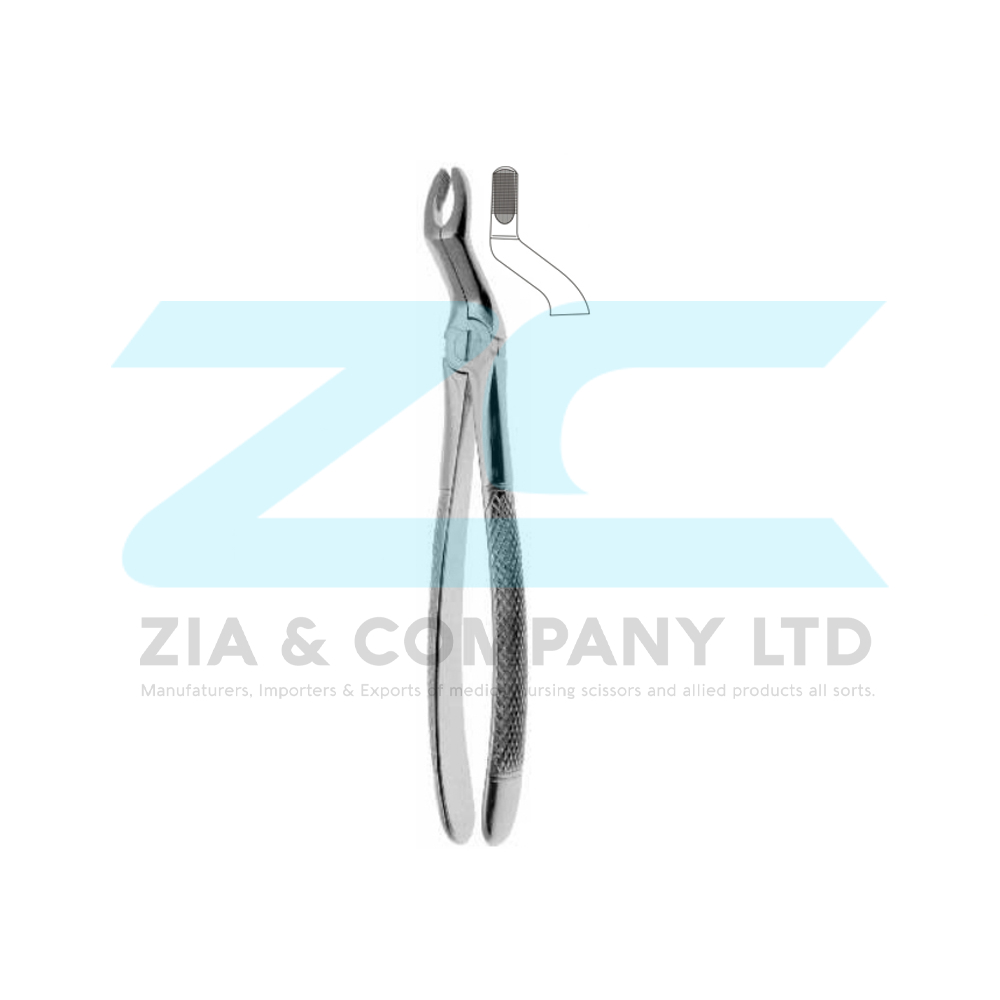English Pattern Tooth Extracting Forceps