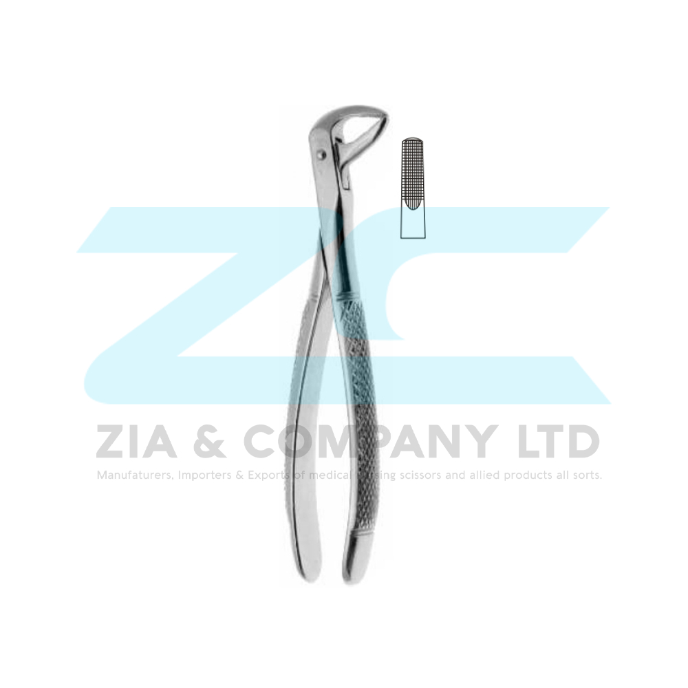 English Pattern Tooth Extracting Forceps