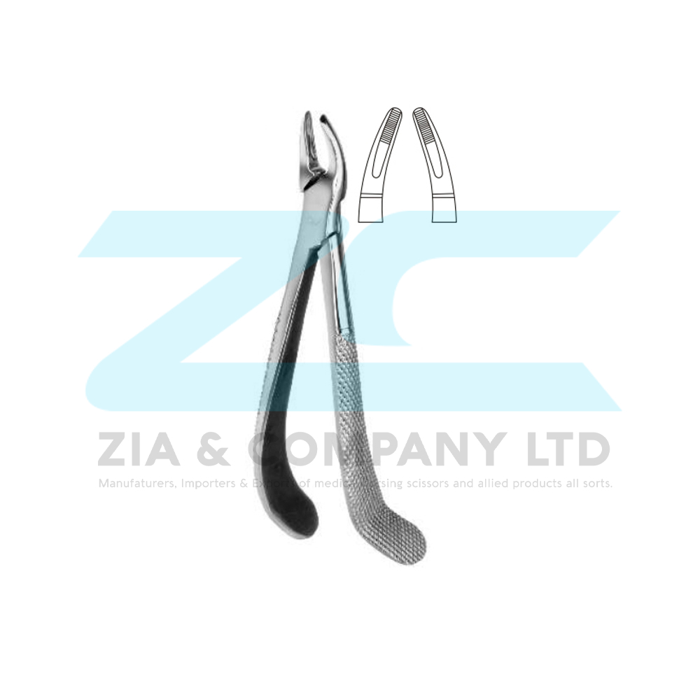 English Pattern Tooth Extracting Forceps