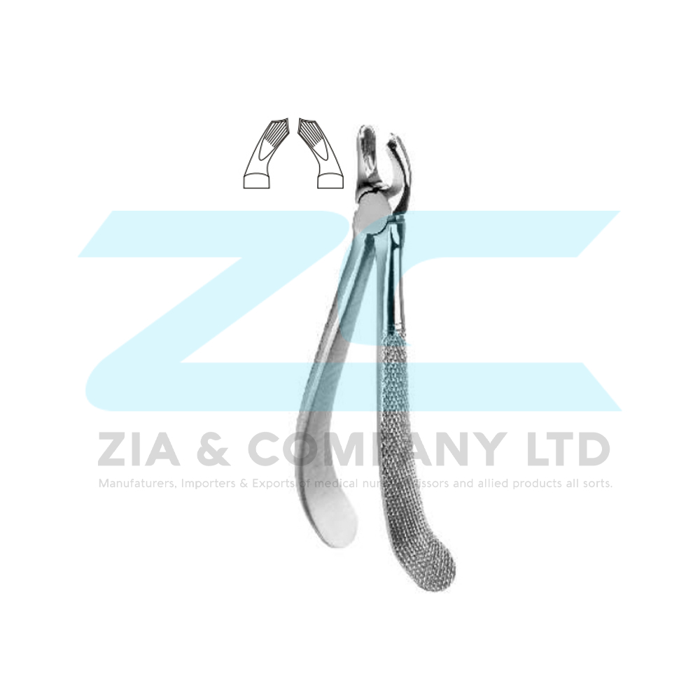 English Pattern Tooth Extracting Forceps