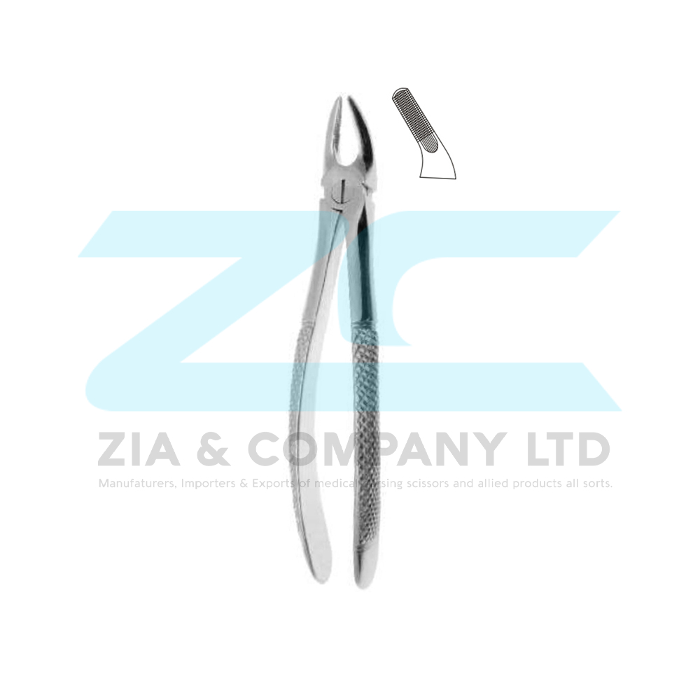English Pattern Tooth Extracting Forceps