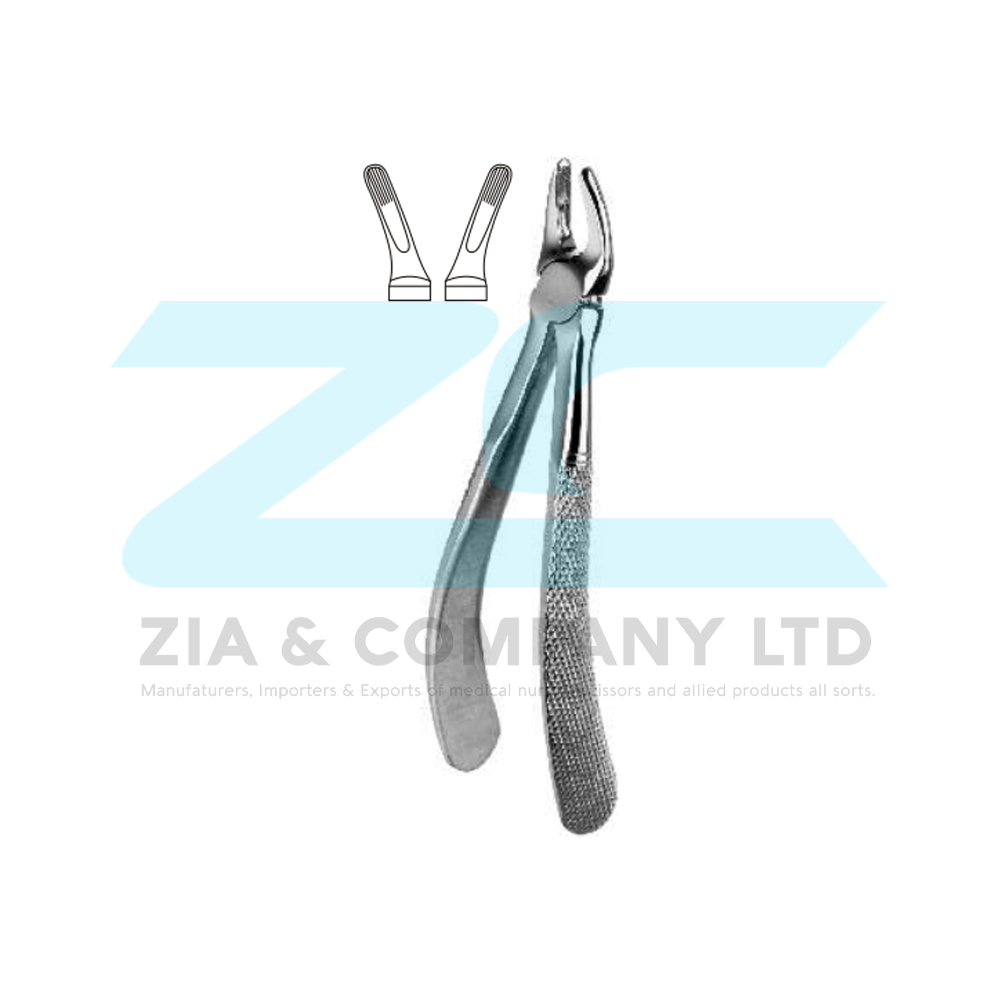 Guy’s English Pattern Tooth Extracting Forceps