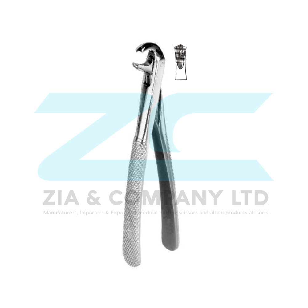 Hawk’s Bill English Pattern Tooth Extracting Forceps